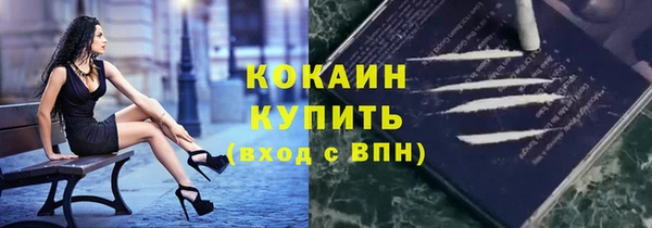 каннабис Корсаков