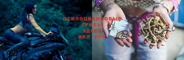 а пвп мука Кодинск