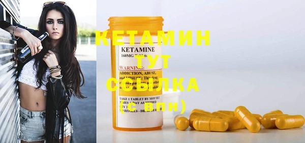 гашик Козловка
