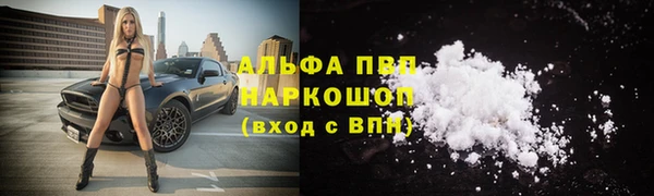 mdpv Коряжма