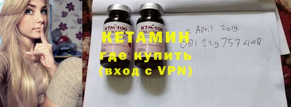 индика Костерёво