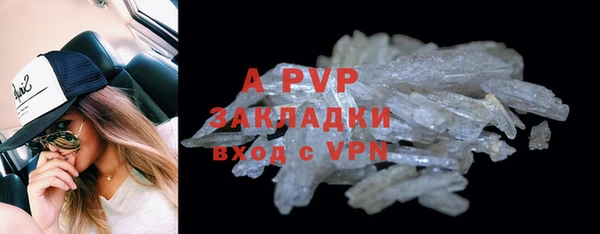 гашик Козловка