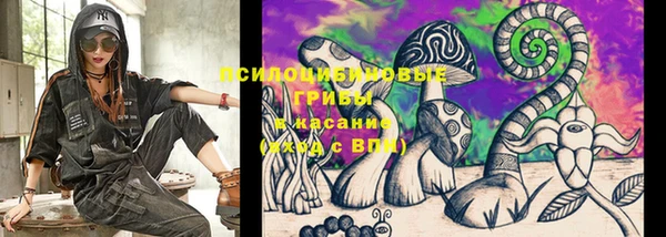 индика Костерёво