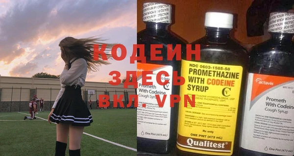 индика Костерёво