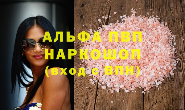индика Костерёво