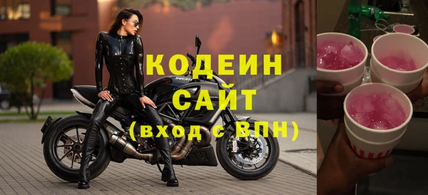 индика Костерёво