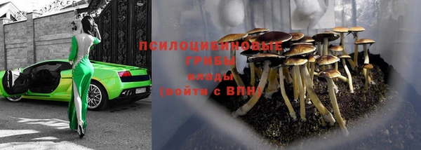 каннабис Корсаков