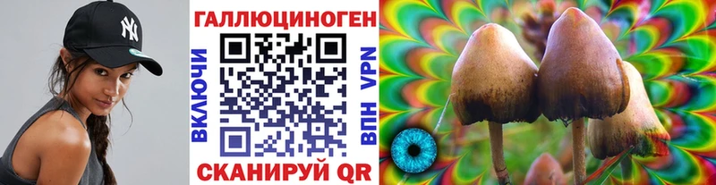 Псилоцибиновые грибы GOLDEN TEACHER Медвежьегорск